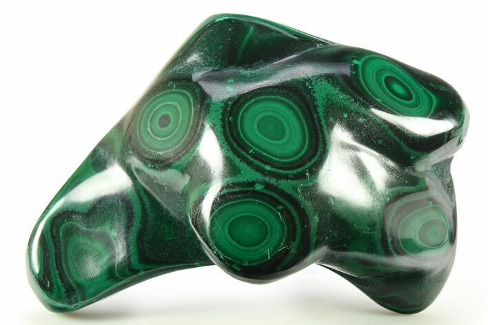 Banded Polished Malachite Specimen - DR Congo #273891